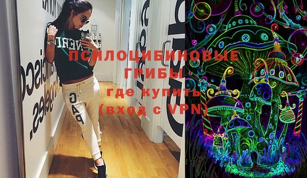 мдпв Абаза