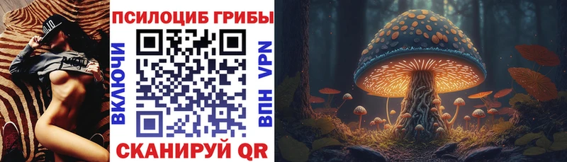 MEGA как войти  Нариманов  Галлюциногенные грибы Psilocybe 